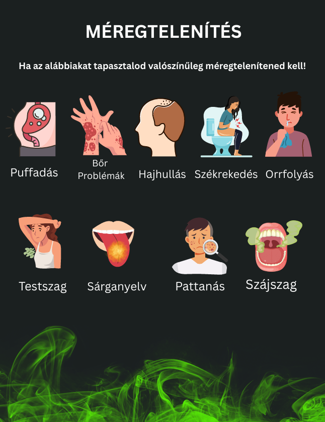 EGÉSZSÉG ÚTMUTATÓ PDF.