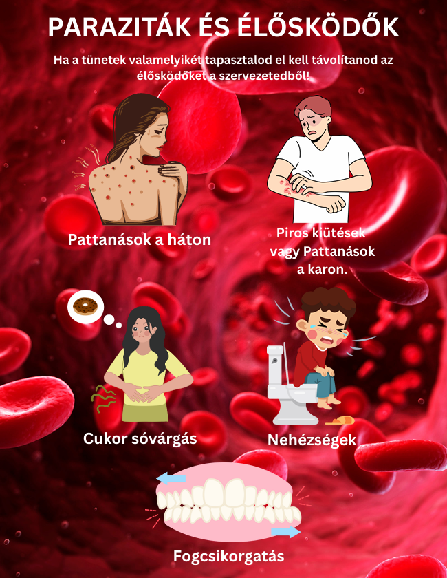EGÉSZSÉG ÚTMUTATÓ PDF.